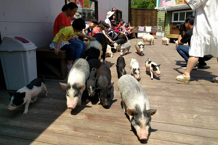 Icheon Mountain Hiking & Culture Tour - Photo 1 of 6